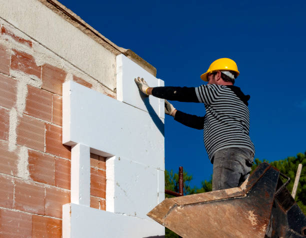 Best Residential Insulation in Celina, TN